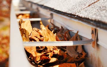Necton gutter cleaning companies